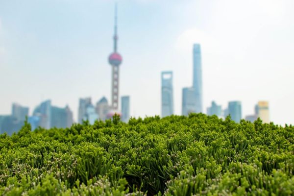 eddie-zhang-xL_mNkABxEY-unsplash-1024x614