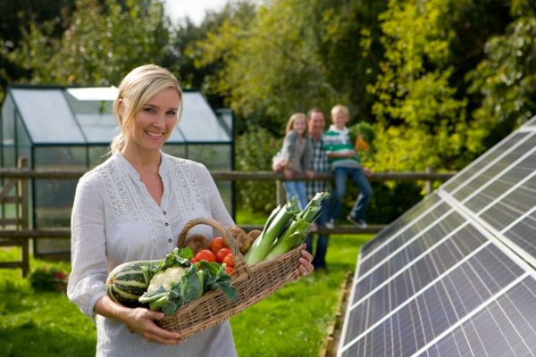 shutterstock_1859347168 - za web